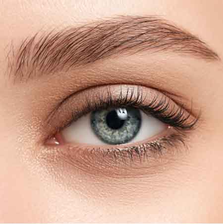 Eye Upclose Eye Upclose